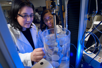 Top Schools for Biomedical Engineering in the United States