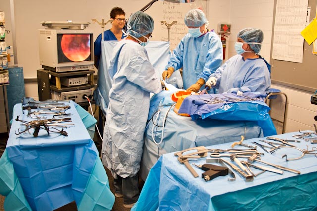 Program Surgical Technology