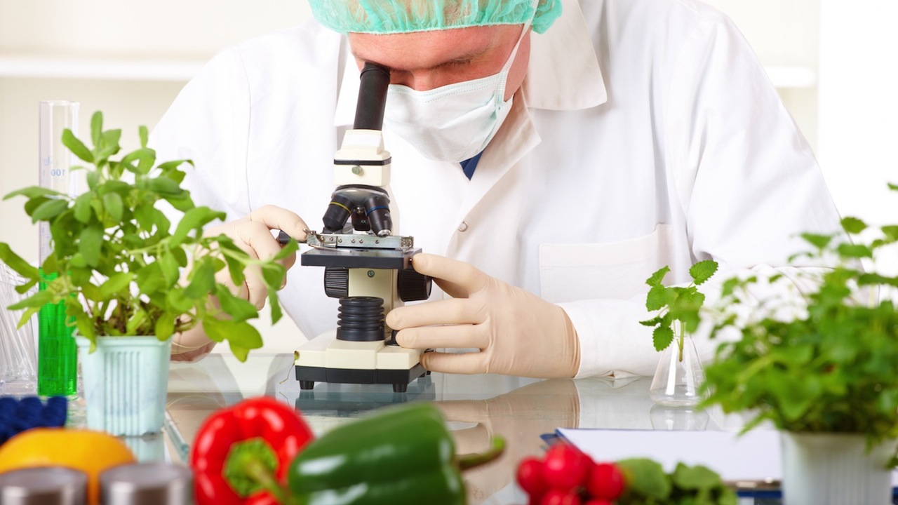 Graduate Degree Programs in Food Science Overview
