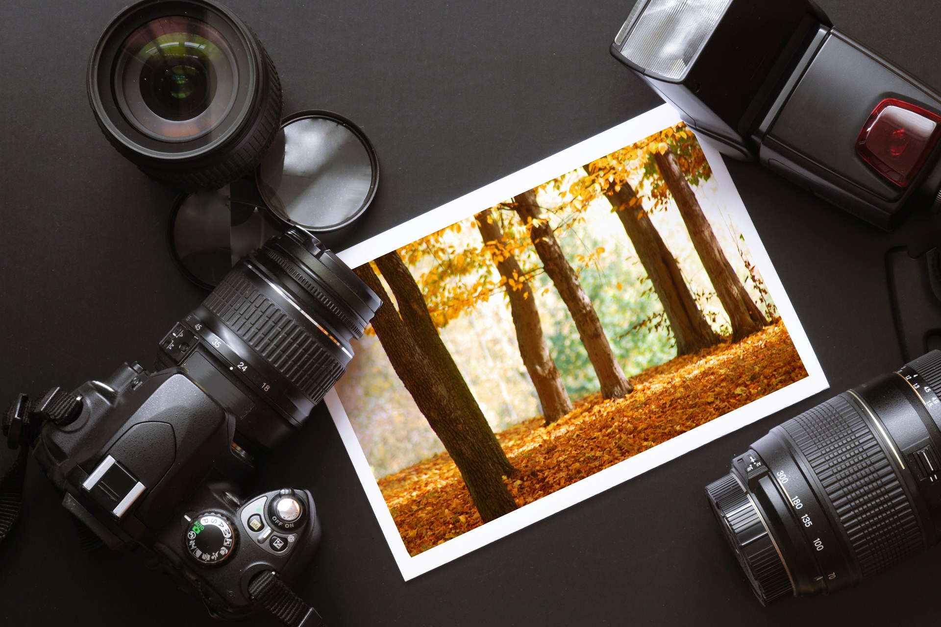 Info on Master’s Degree Programs in Digital Photography